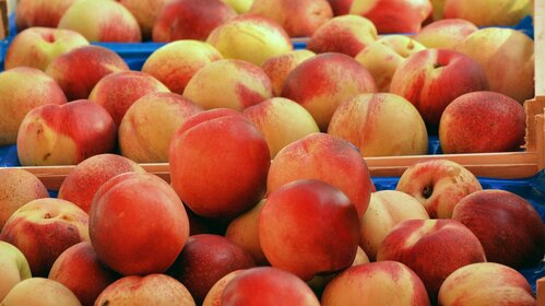 Marchés de pays