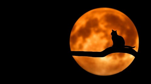 La lune s'invite à la Médiathèque