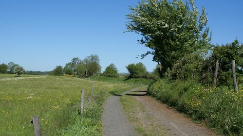 Voie Romaine - Chabridet